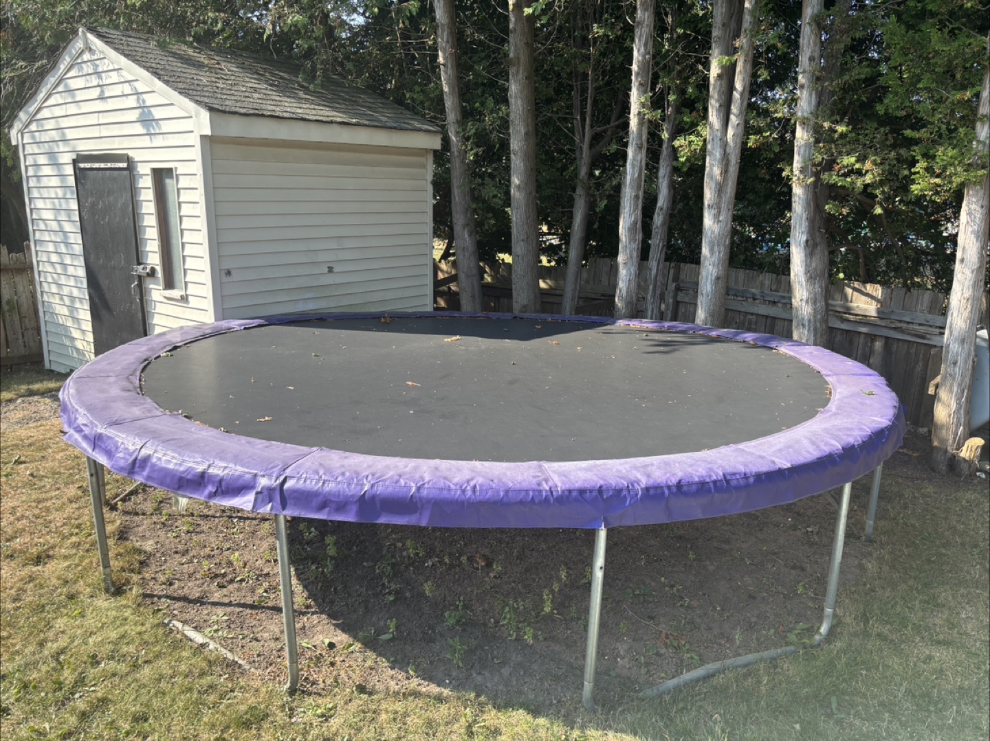 Trampoline - Purple Trim
