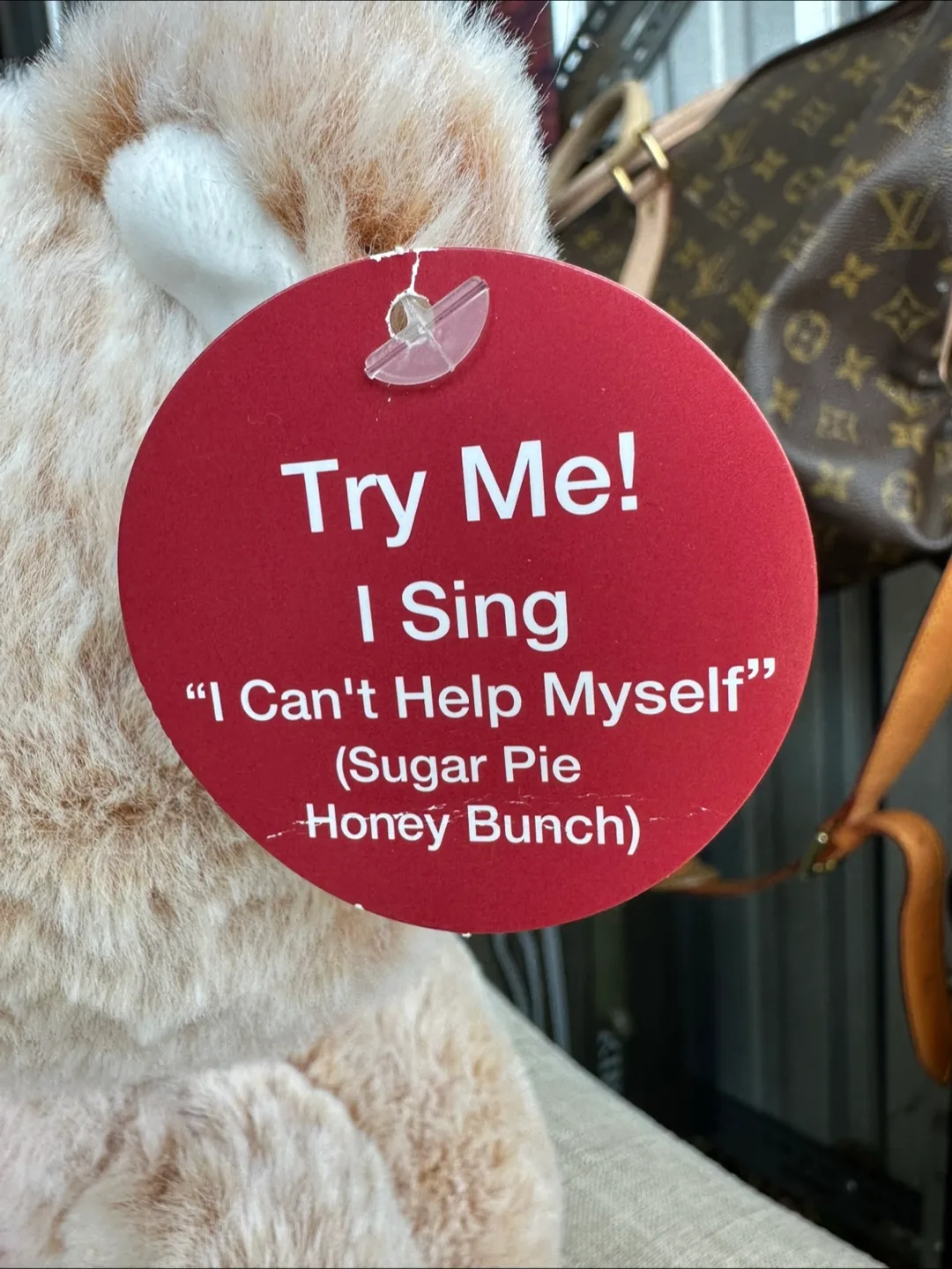 Singing Teddy Bear with Heart thumbnail