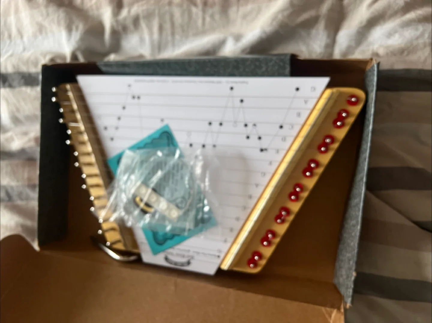 Melody Harp with Accessories & Songs image indicator(2)