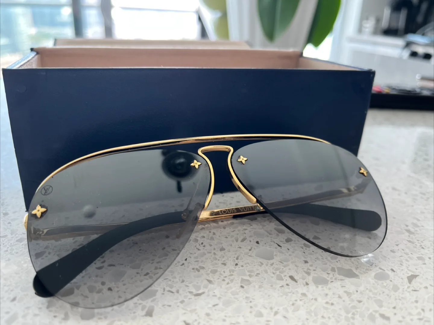 Louis Vuitton Aviator Sunglasses image indicator(6)