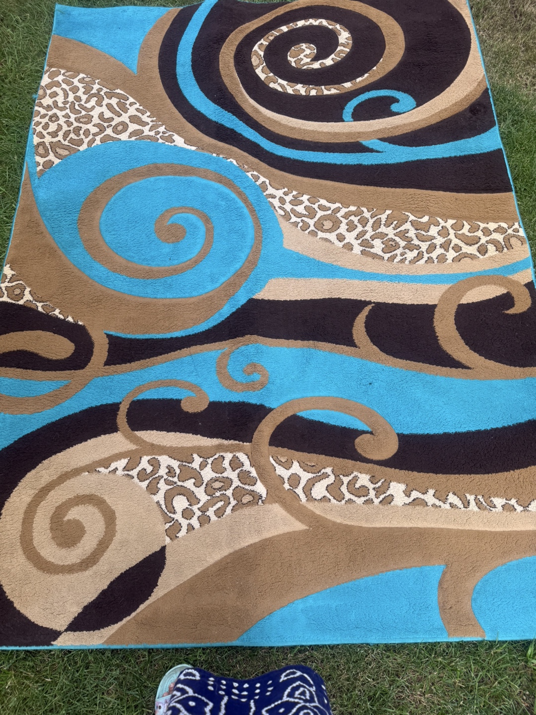 Swirl Pattern Area Rug - Blue, Brown, Tan