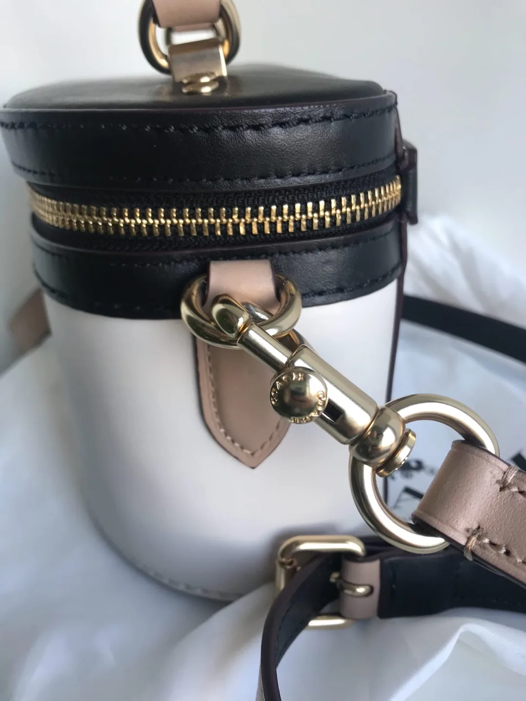 Limited Edition COACH & Selena Gomez Vanity Bag - Black/White image indicator(4)