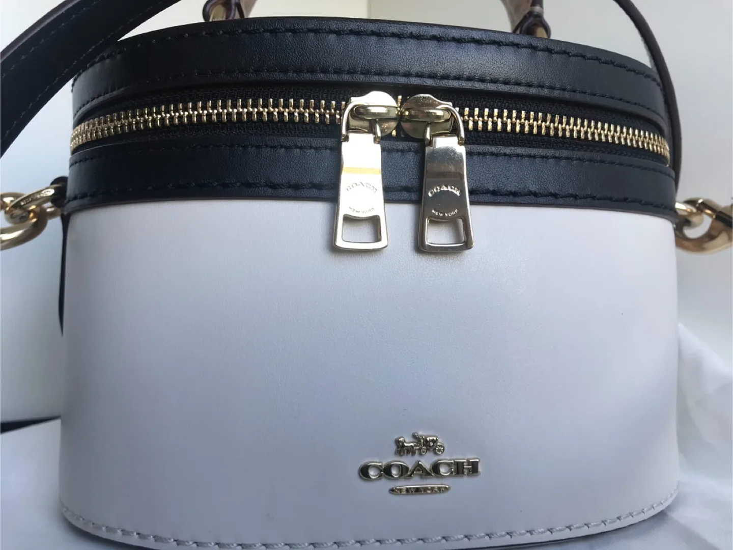 Limited Edition COACH & Selena Gomez Vanity Bag - Black/White image indicator(2)