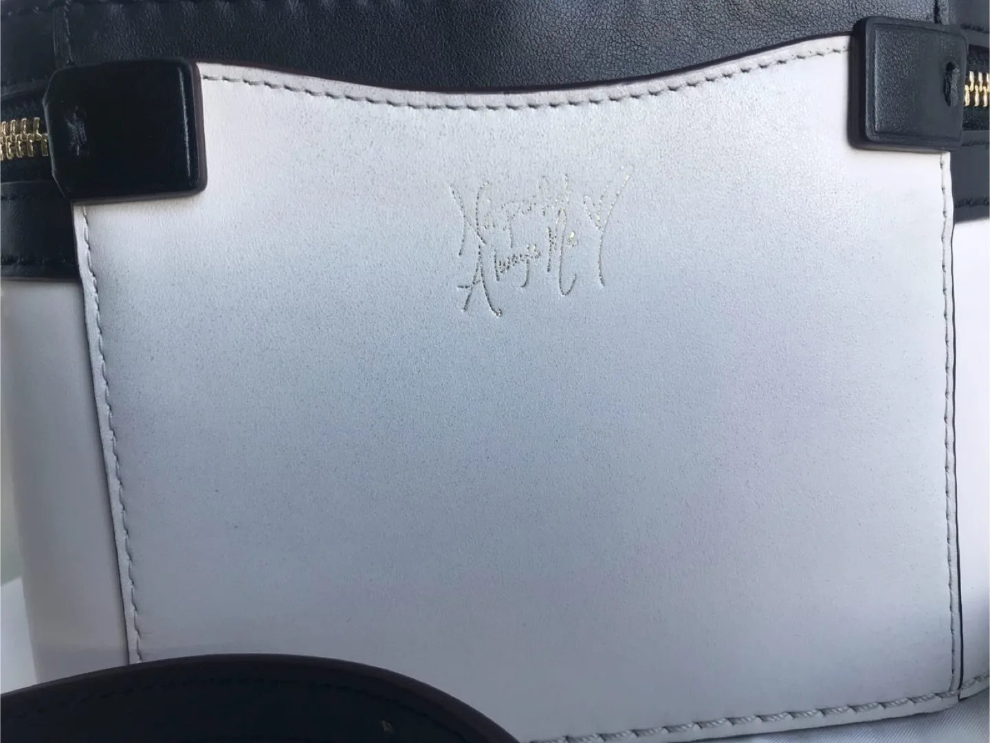 Limited Edition COACH & Selena Gomez Vanity Bag - Black/White image indicator(7)