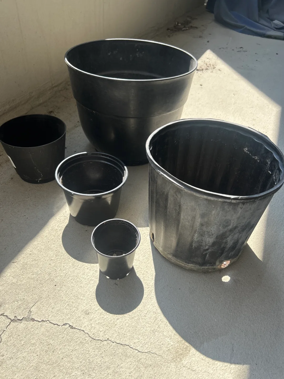 Assorted Black Plastic Plant Pots image indicator(2)