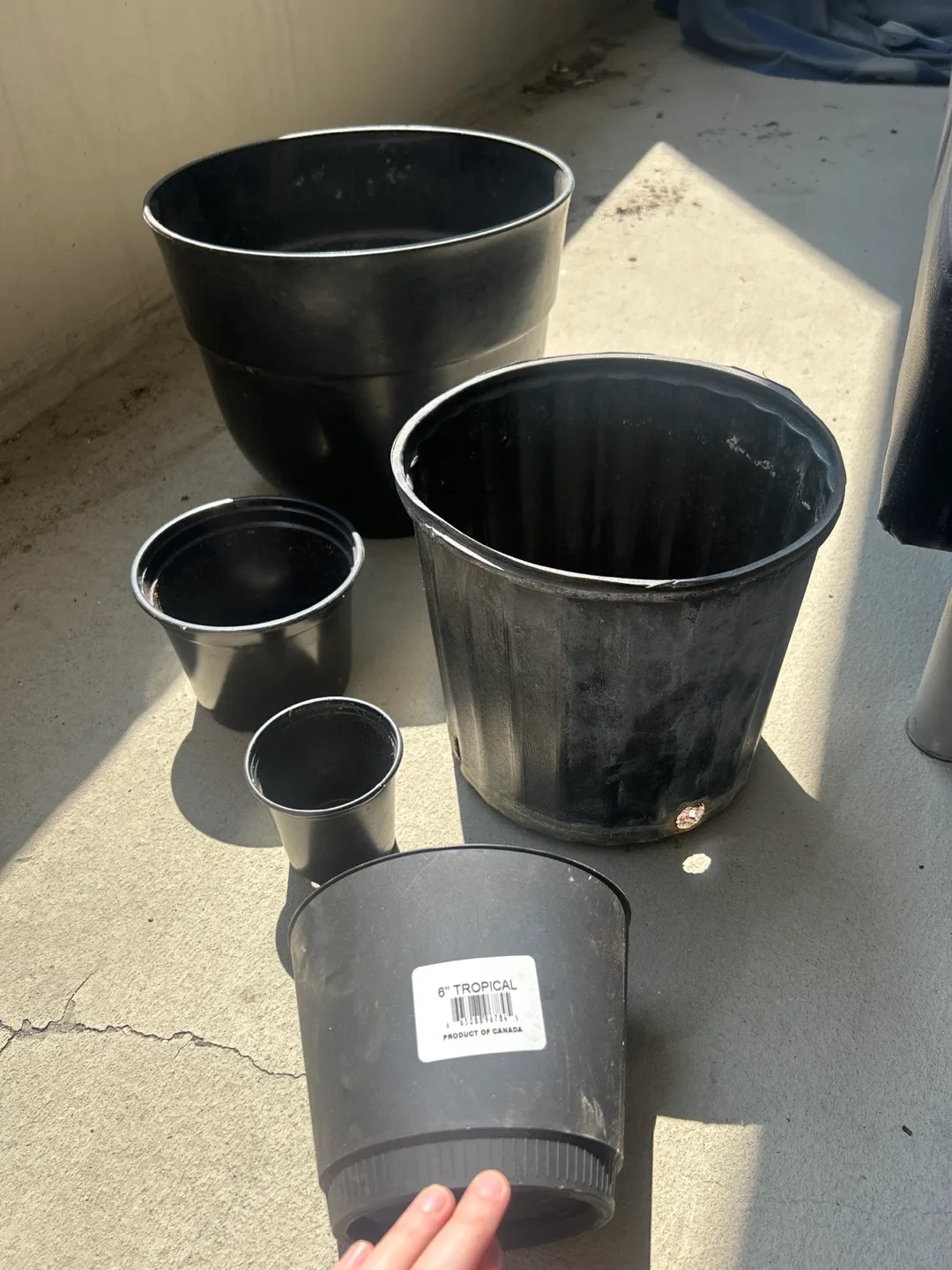 Assorted Black Plastic Plant Pots image indicator(3)