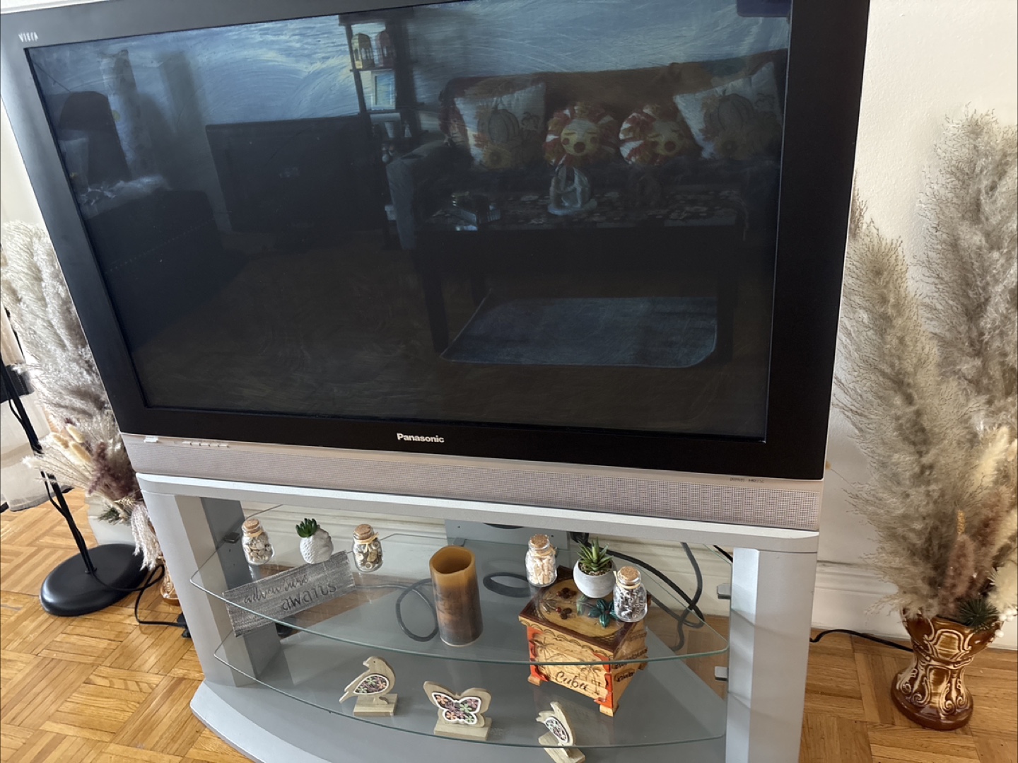 Panasonic TV