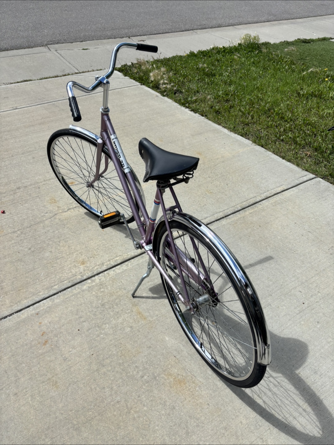 Vintage Beaver Lumber Bike - photo 3