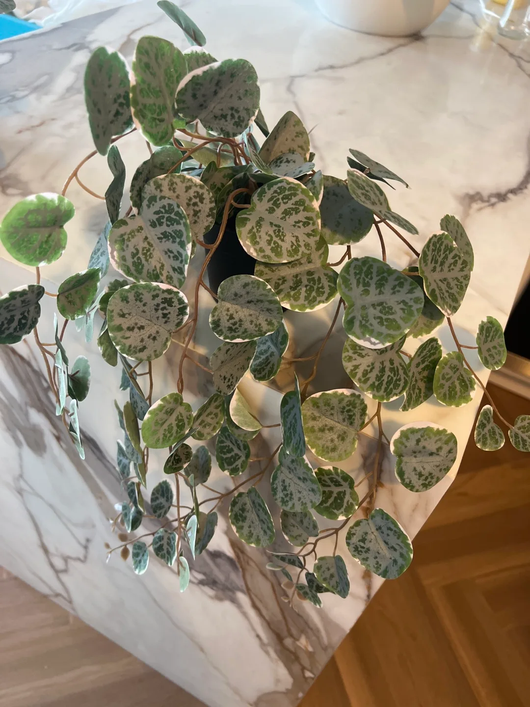 IKEA FEJKA Artificial Potted Plant image indicator(2)