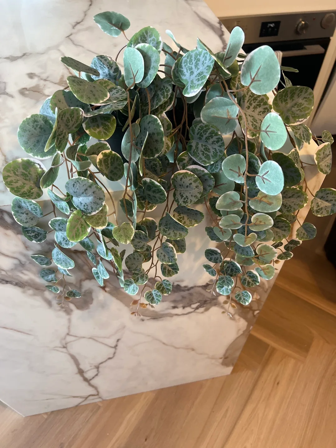 IKEA FEJKA Artificial Potted Plant image indicator(3)