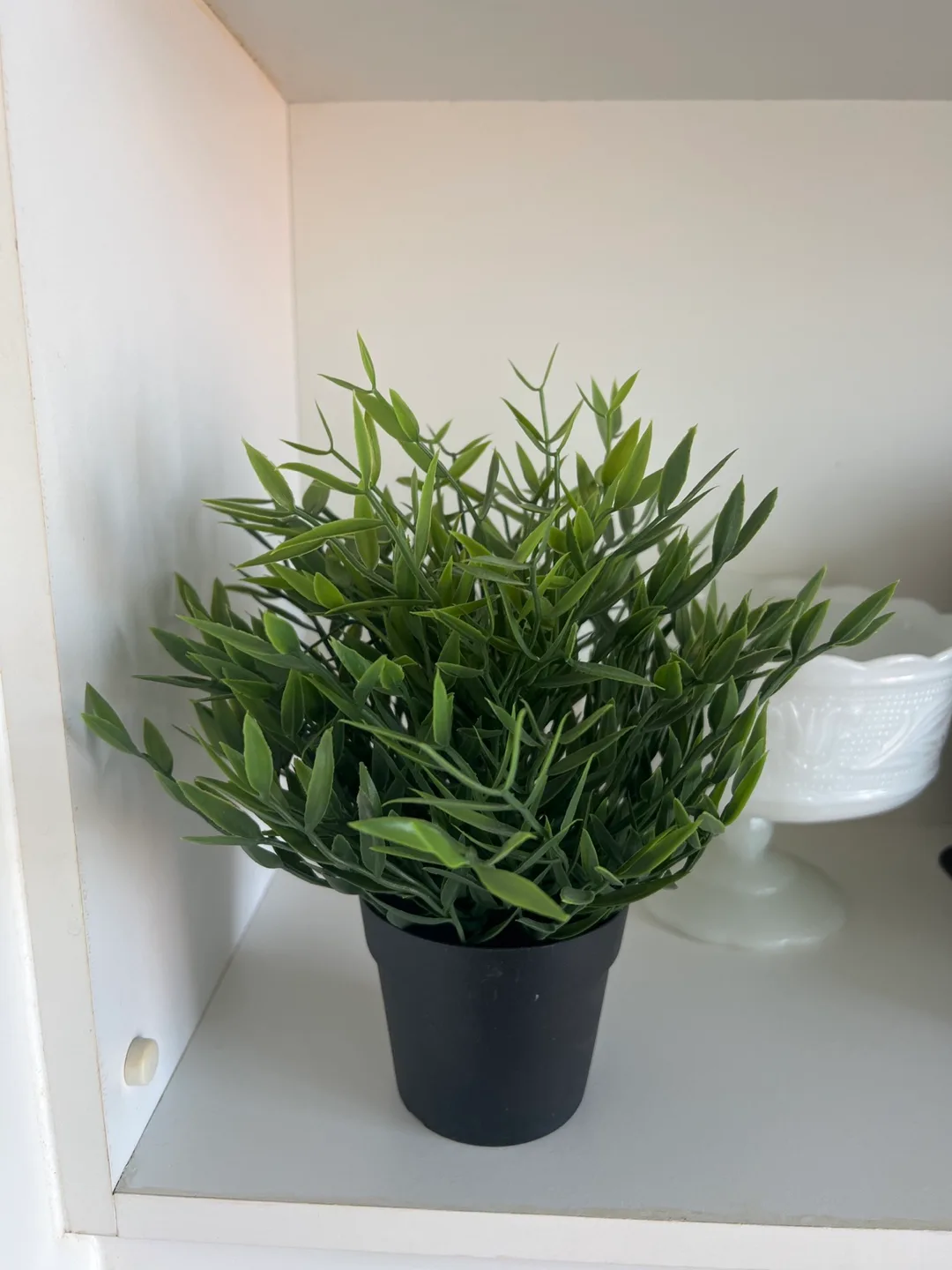 Artificial Potted Plant image indicator(3)