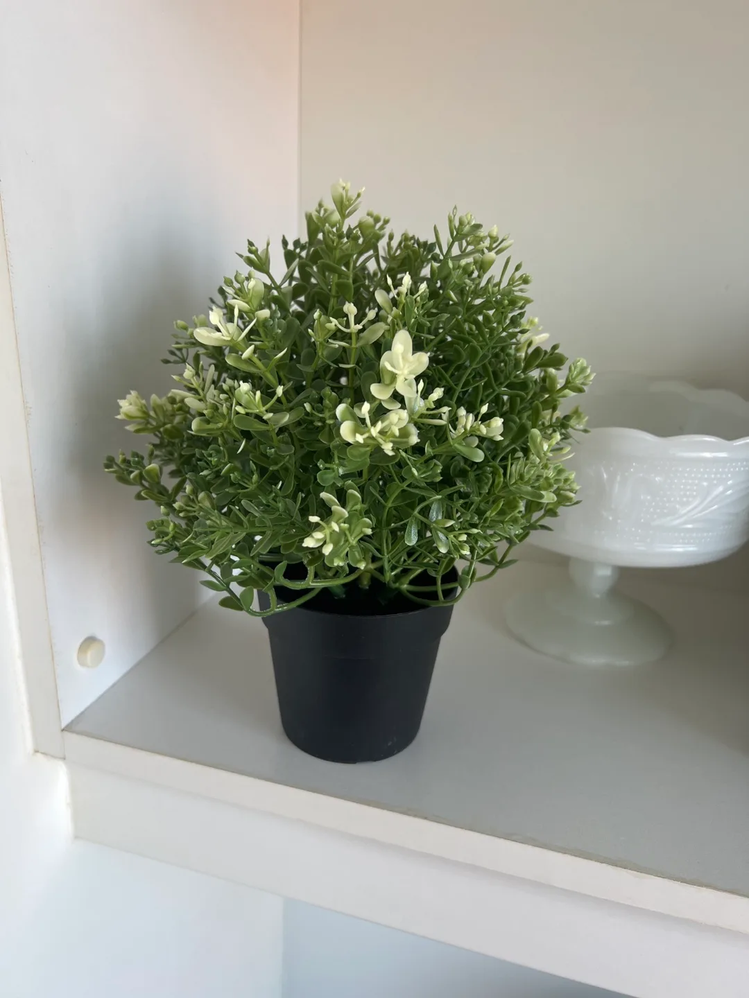 IKEA FEJKA Artificial Potted Plant - 9cm image indicator(2)
