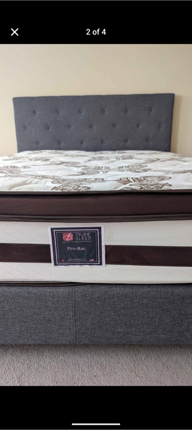 Divine Sleep Pro-Bac Mattress - photo 2