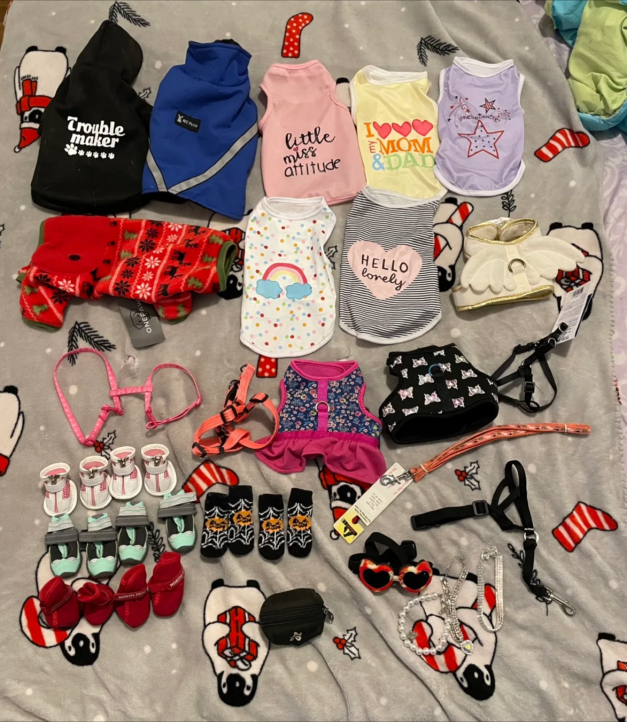 XS Dog Supplies Lot thumbnail