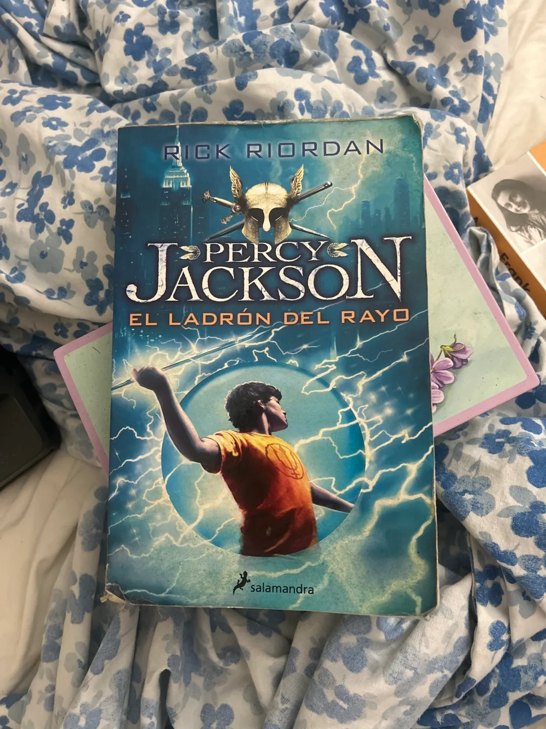 Percy Jackson: El Ladrón del Rayo by Rick Riordan thumbnail