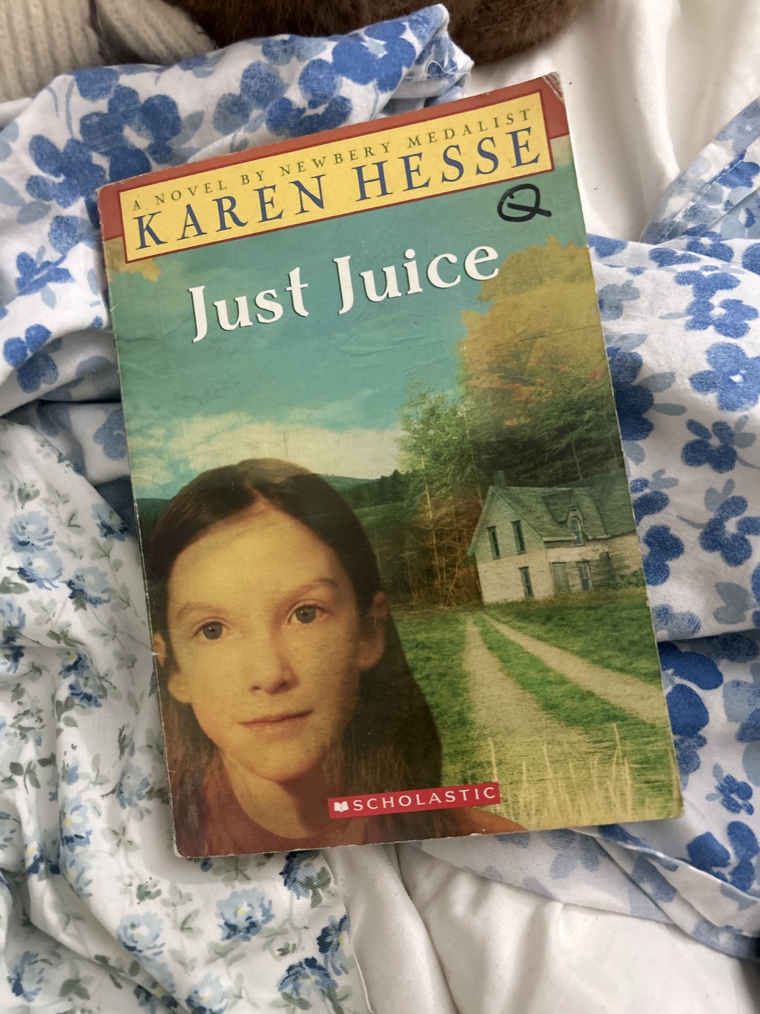 Just Juice by Karen Hesse - Newbery Medalist