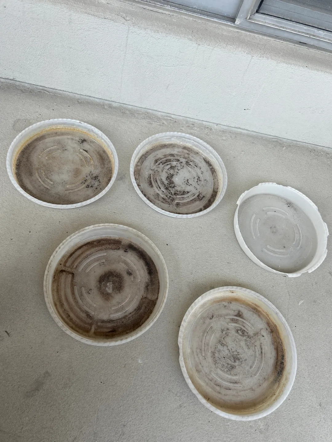 Used Plant Saucers - Assorted Sizes image indicator(3)