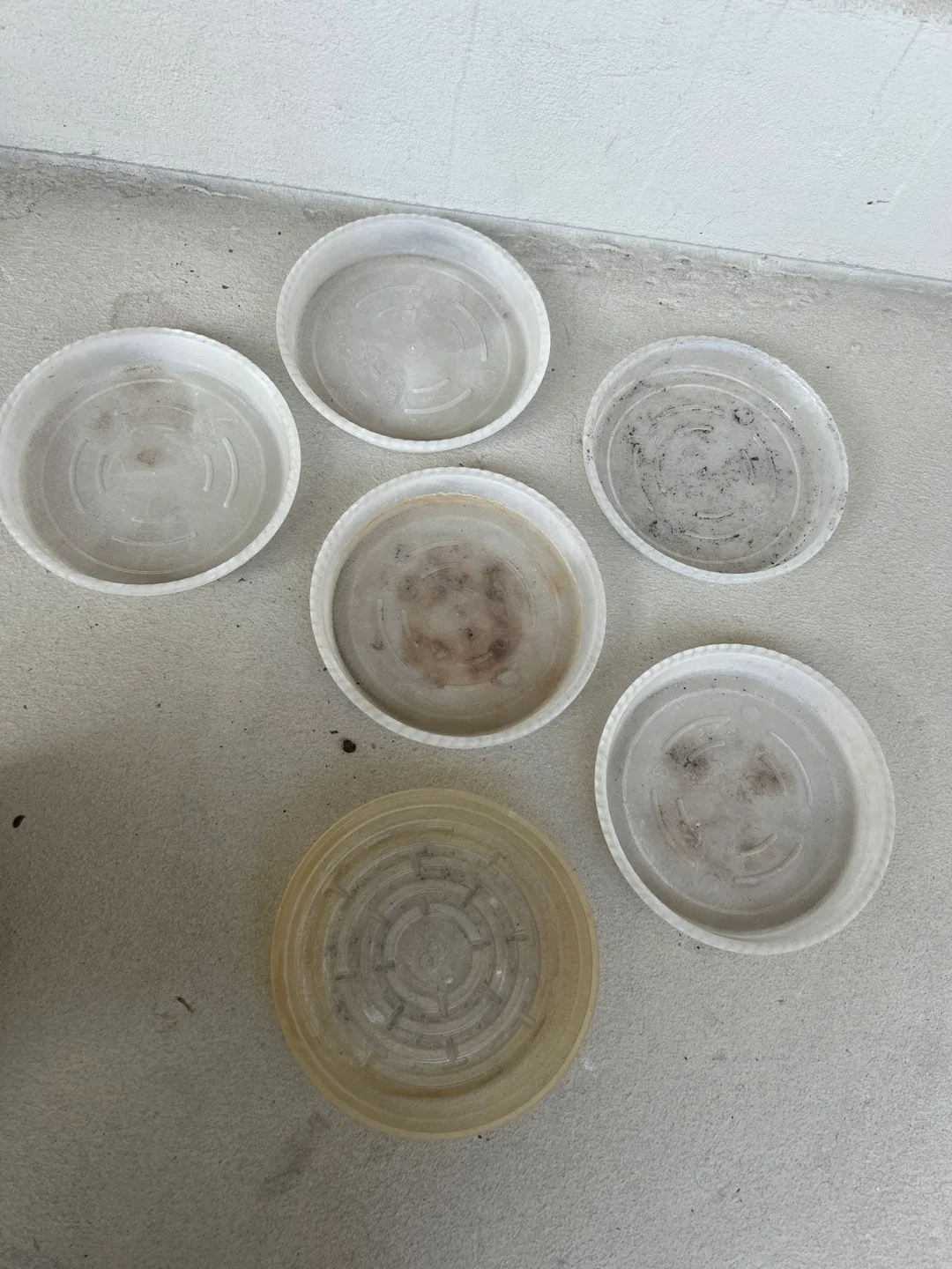 Used Plant Saucers - Assorted Sizes image indicator(2)