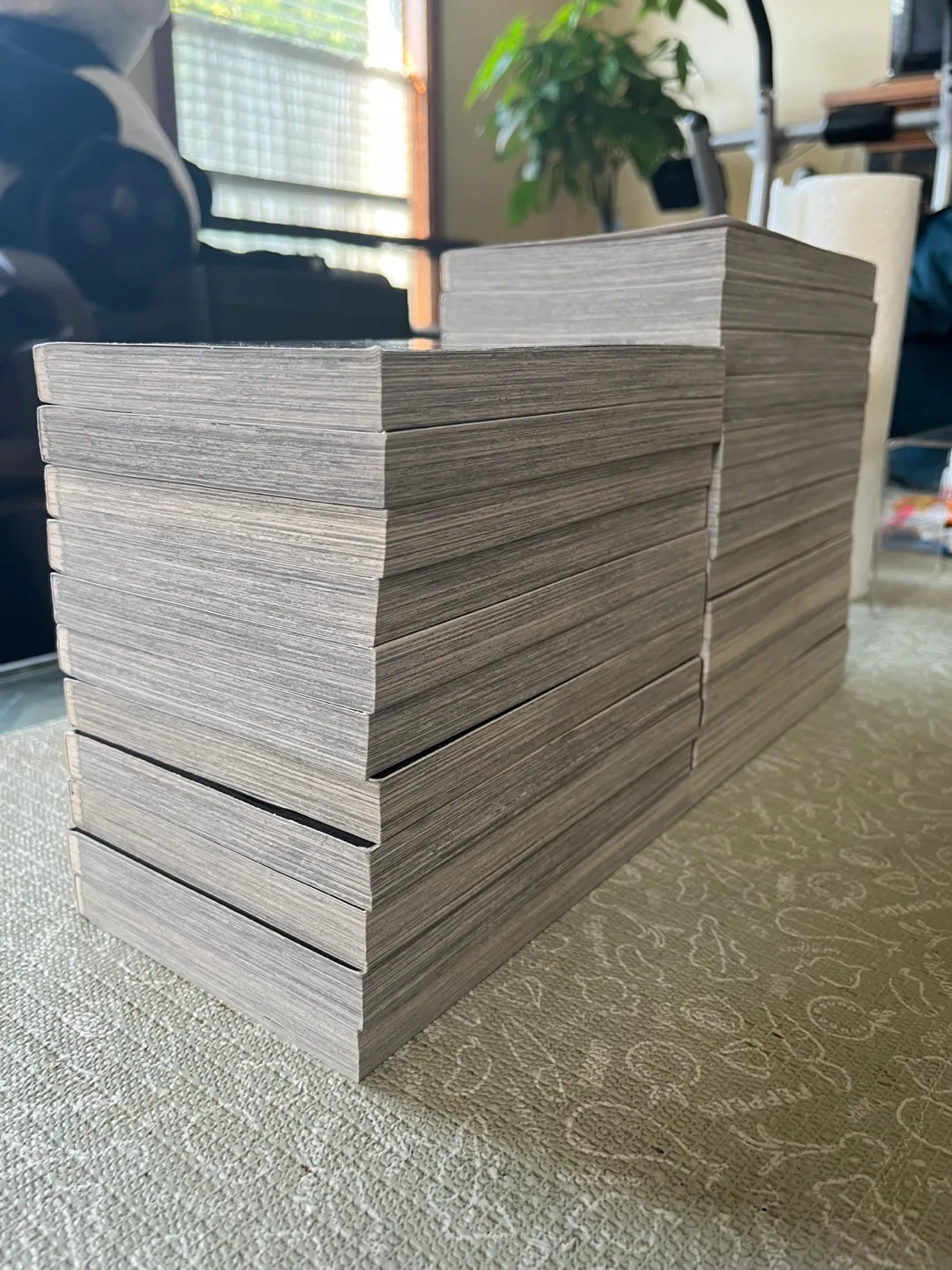 Attack on Titan 1-24 Manga image indicator(4)