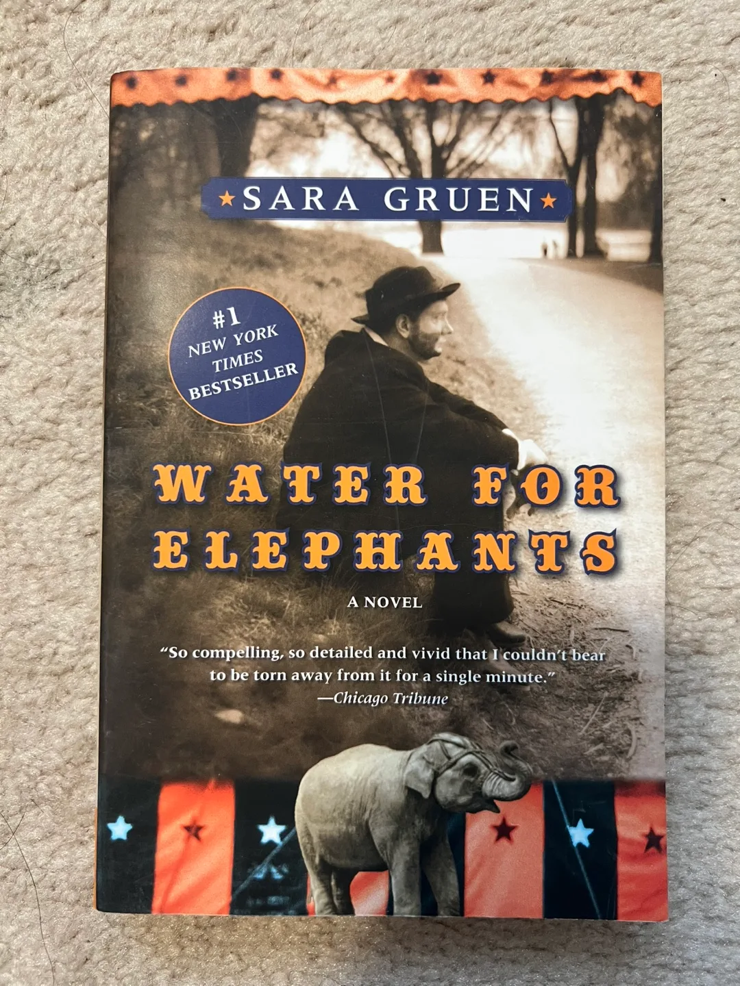 Water for Elephants by Sara Gruen thumbnail