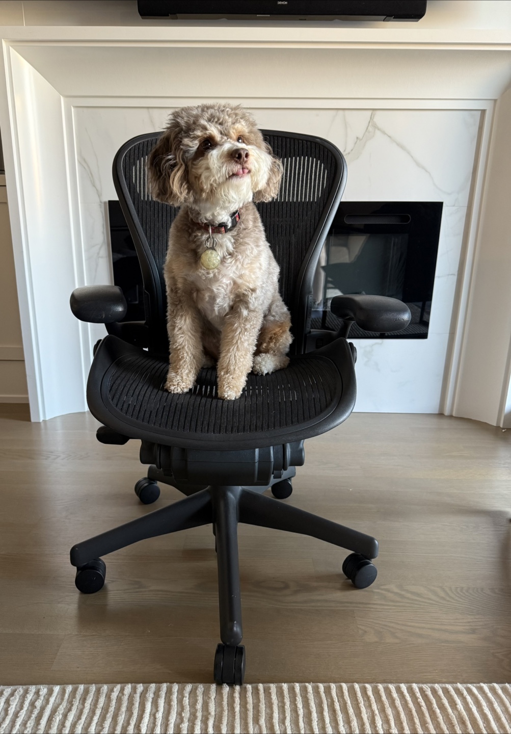 Aeron Office Chair - photo 3