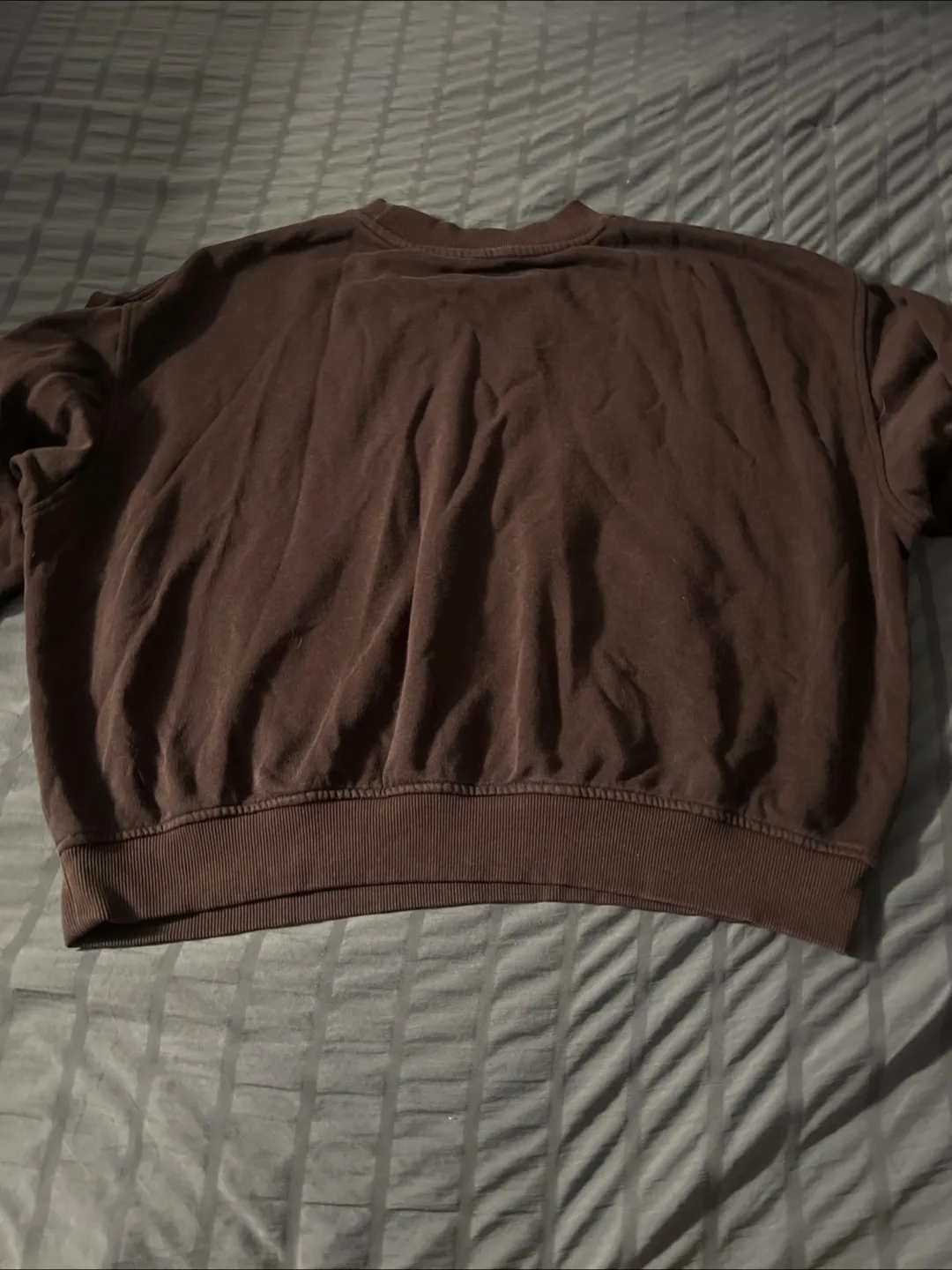 Divided NASA Brown Sweatshirt - Size L image indicator(4)