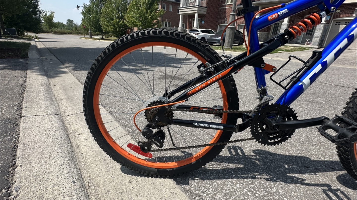 24” CCM Savage H-10 Steel Mountain Bike - photo 2