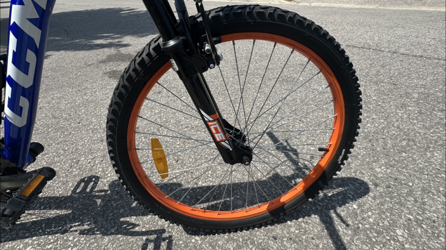24” CCM Savage H-10 Steel Mountain Bike - photo 5