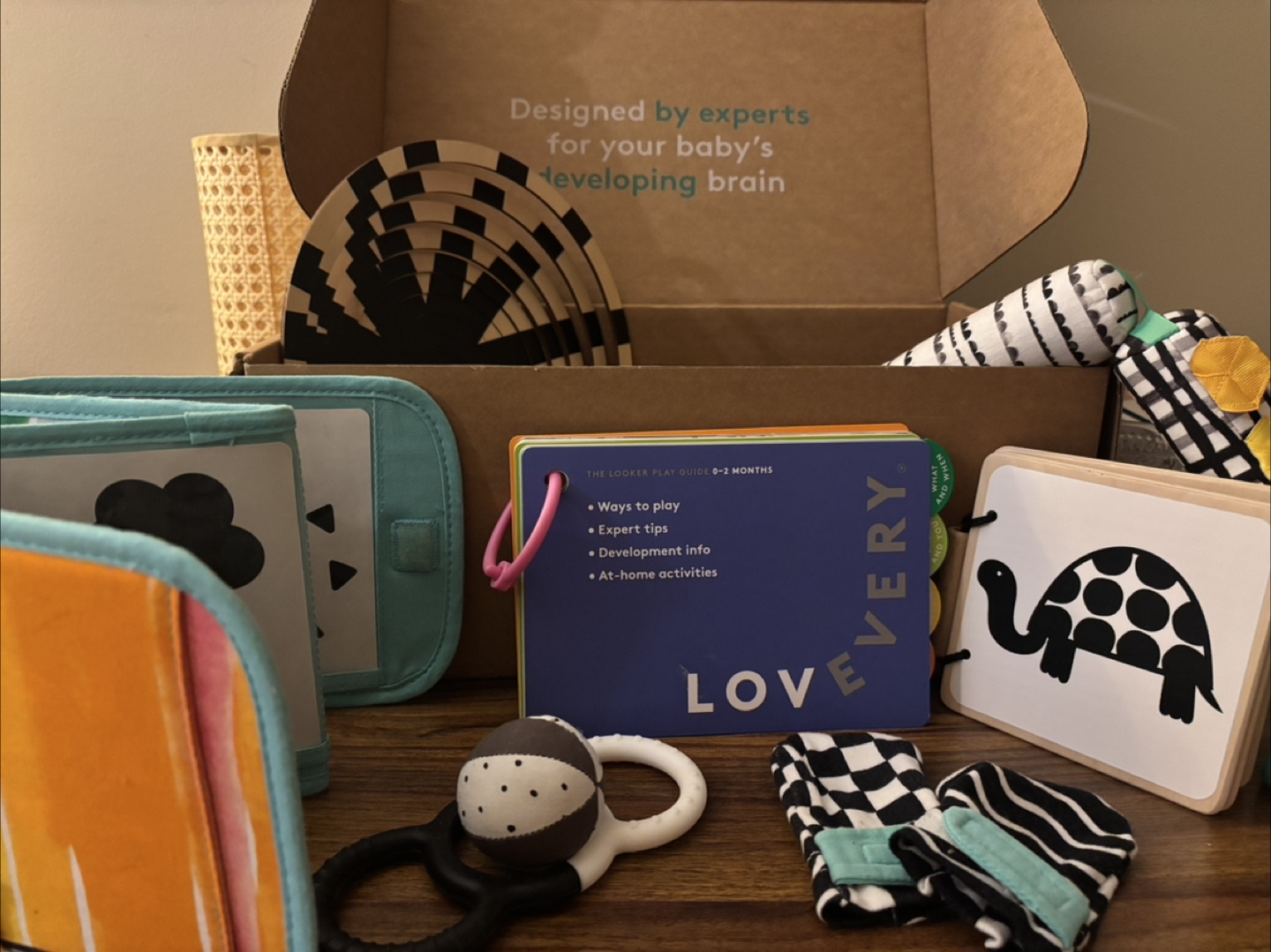 Lovevery The Looker Kit