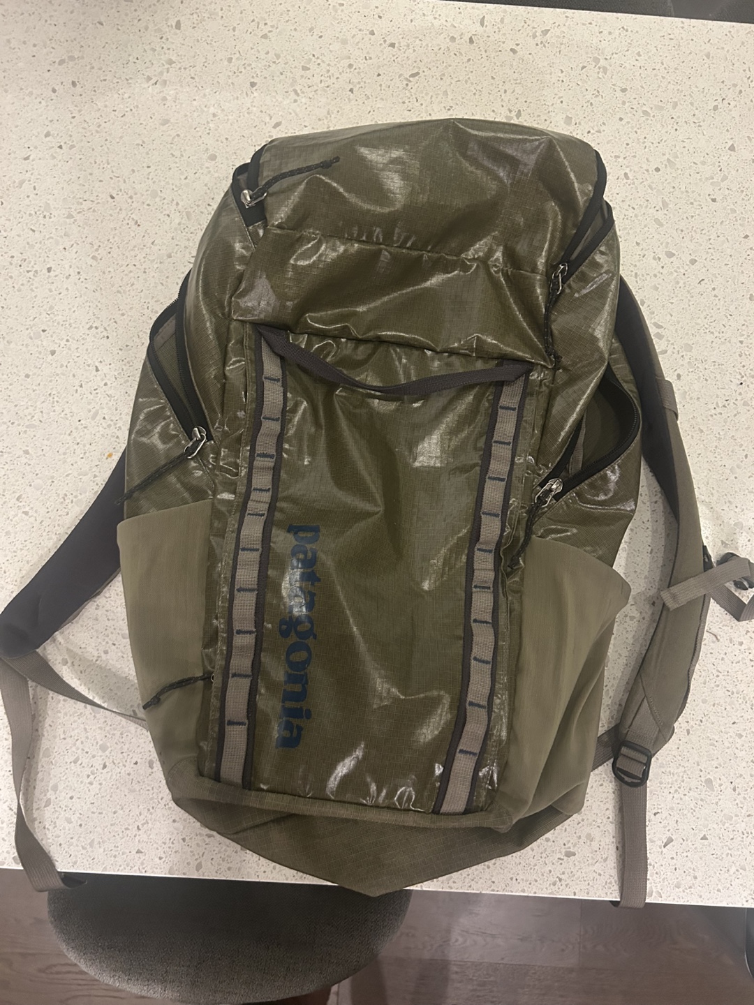 Patagonia Black Hole Pack 32L Olive Green