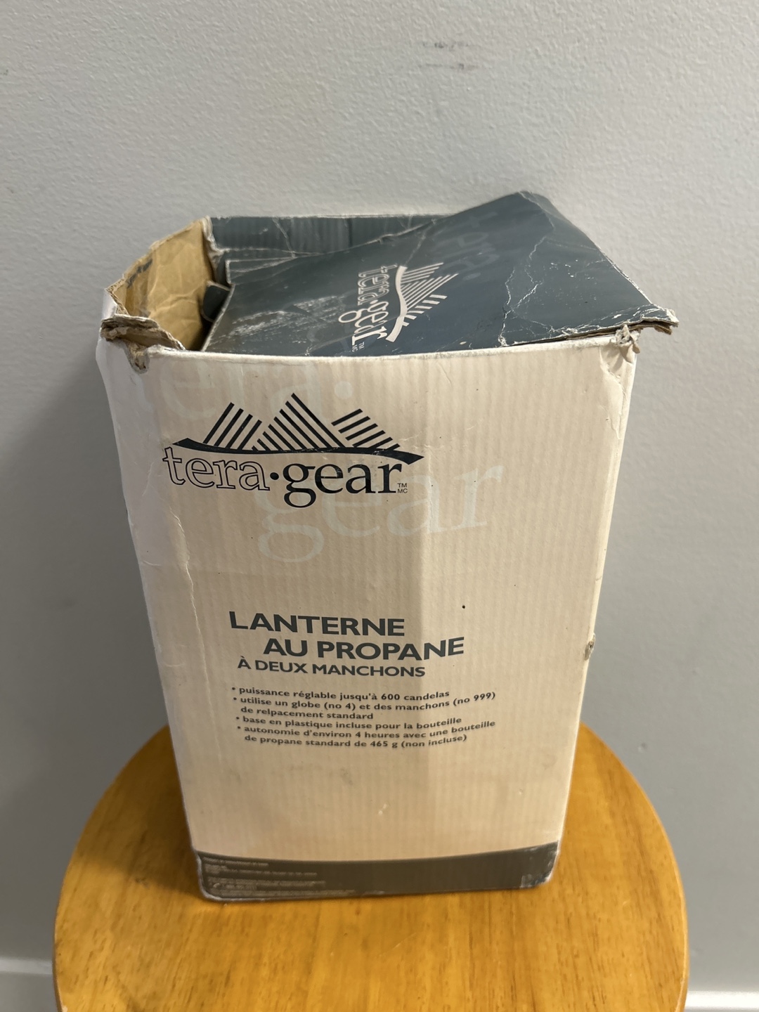 Tera Gear Propane Lantern - photo 5