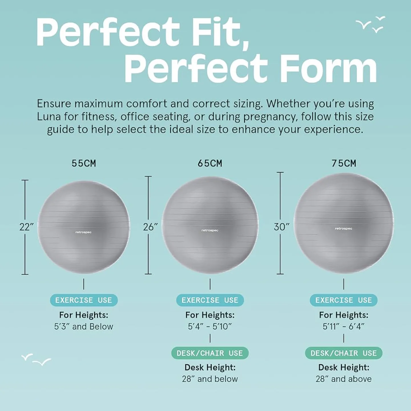 Retrospec Luna Exercise Ball with Base image indicator(2)