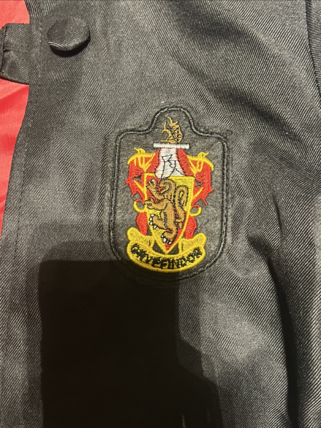 Harry Potter Halloween costume - photo 2
