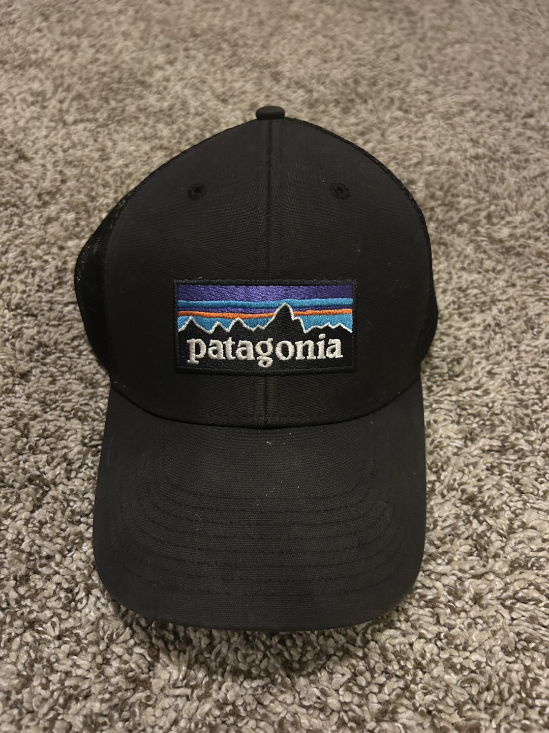 Patagonia Trucker Hat - Black