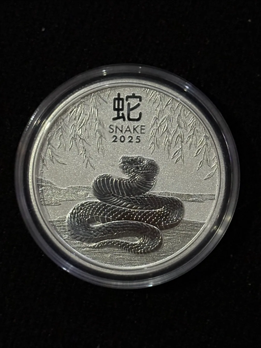 2025 Charles III Australia Snake 1/2oz Silver Coin thumbnail