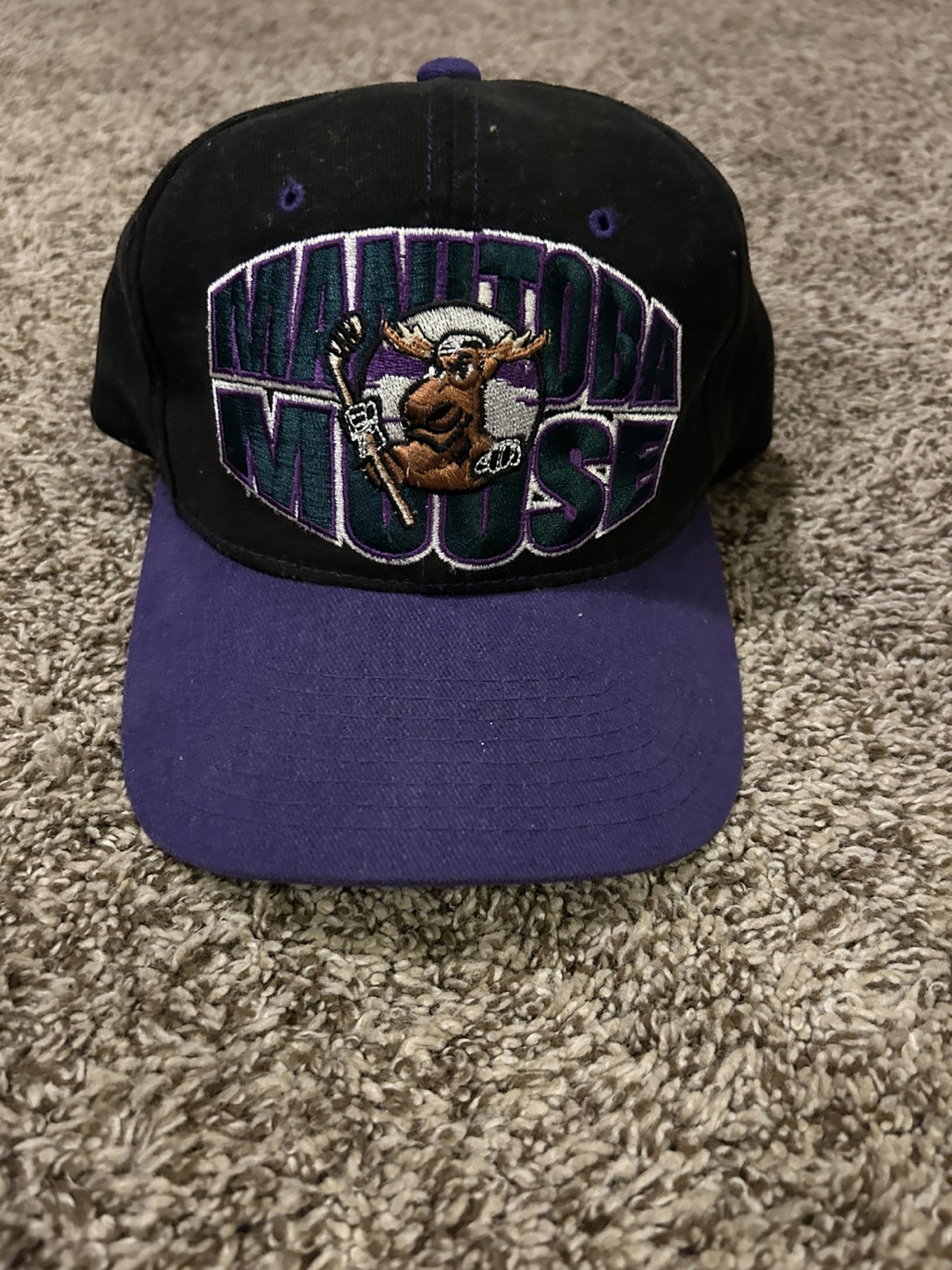 Starter Winnipeg Moose Hat - Black & Purple