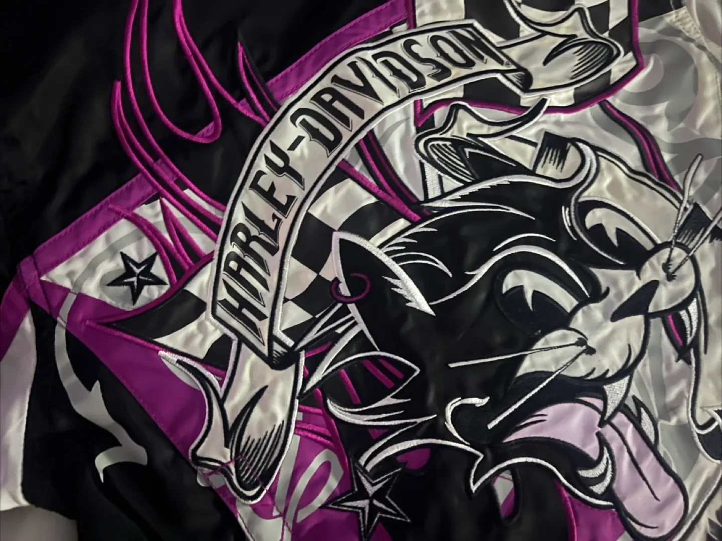 Women’s Harley-Davidson Motorcycle Jacket image indicator(5)