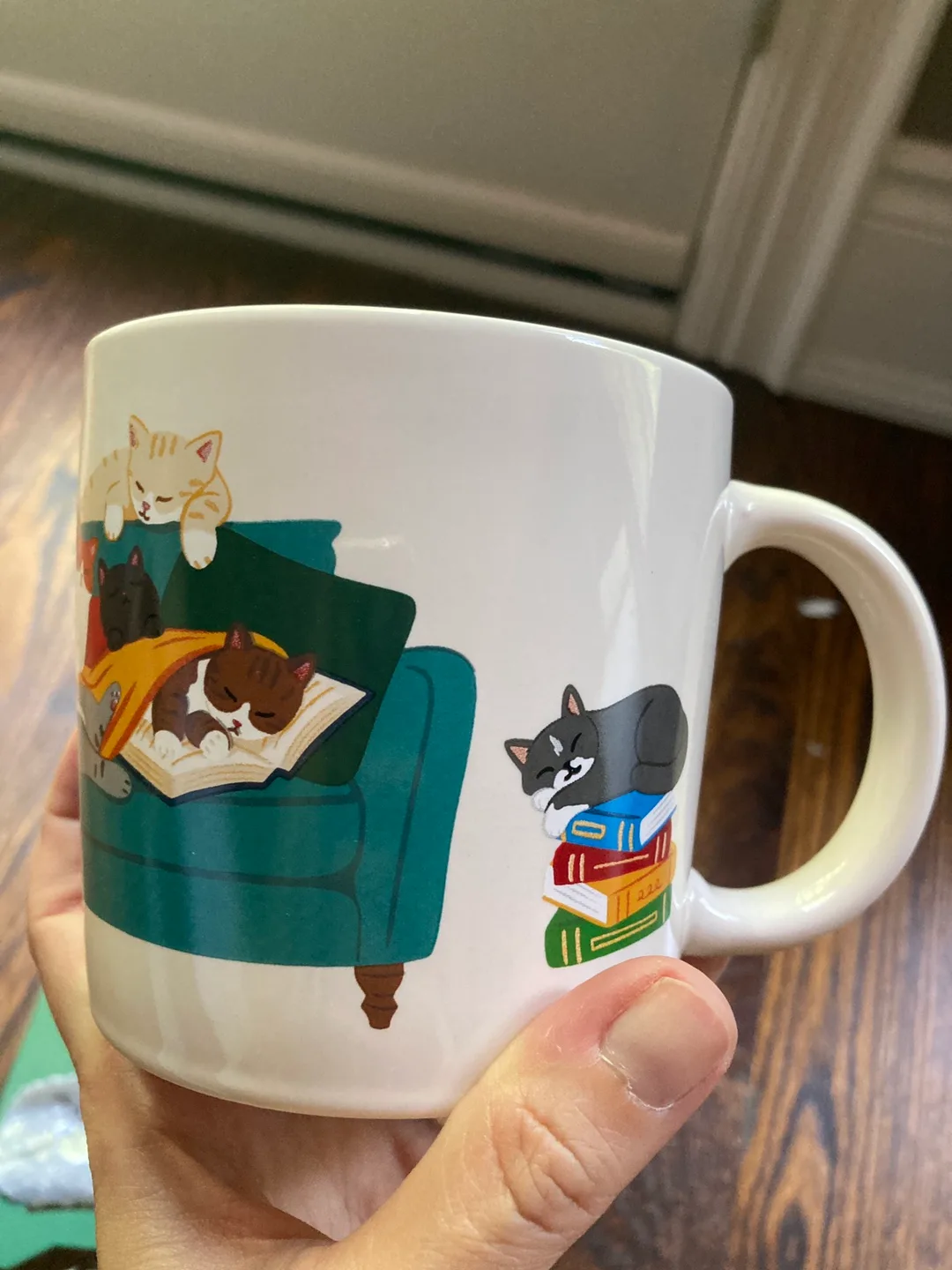 Cat hair clips & mug image indicator(2)