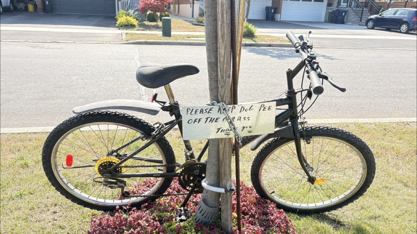 Sell bicycle - photo 2