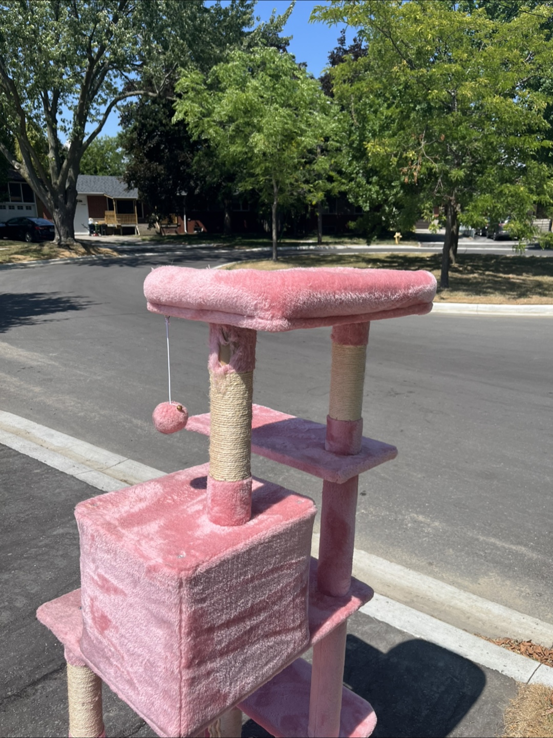 Cat tree - free - photo 4