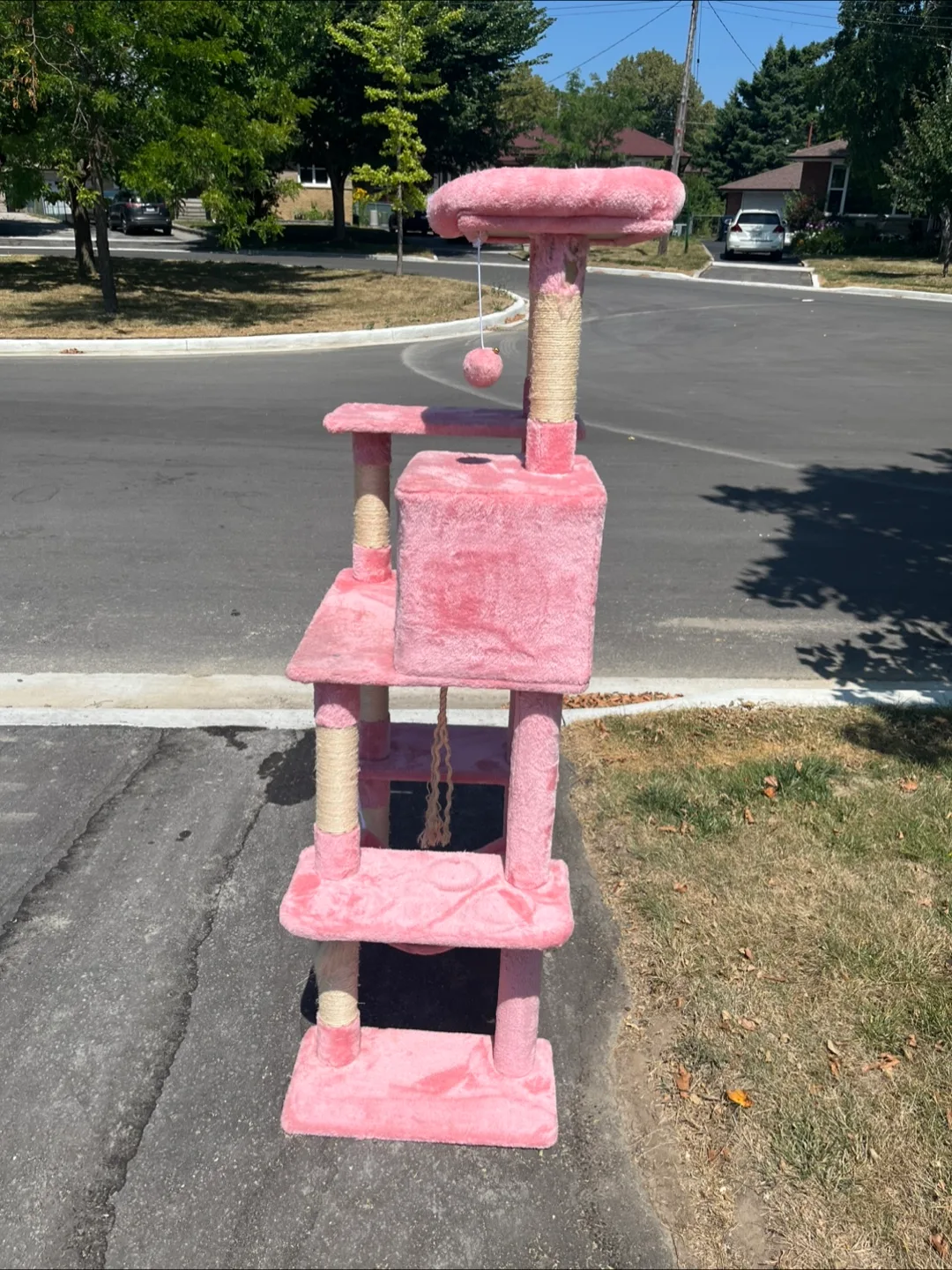 Cat tree - free image indicator(5)