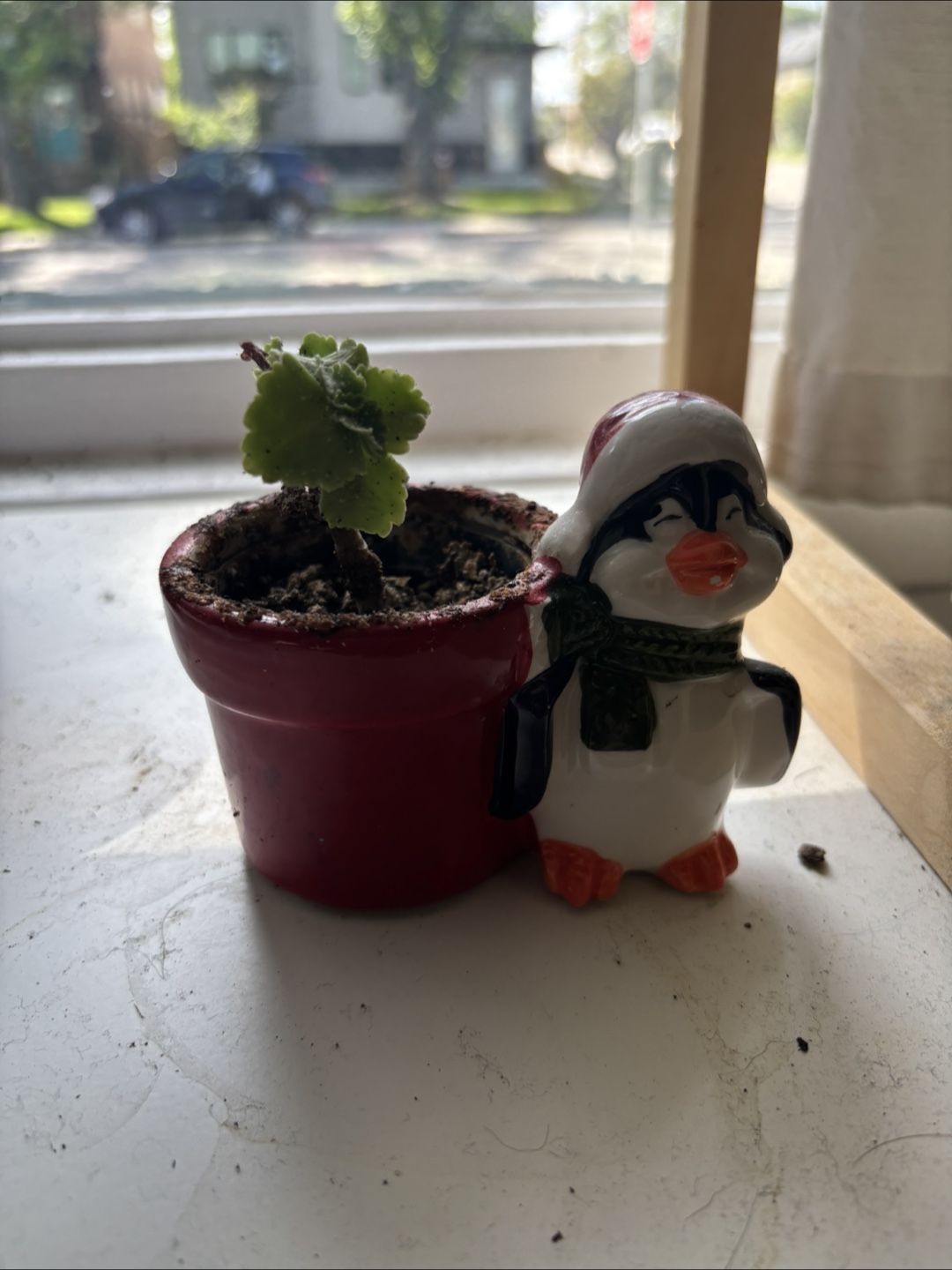 Potted Plant with Penguin Figurine - photo 2