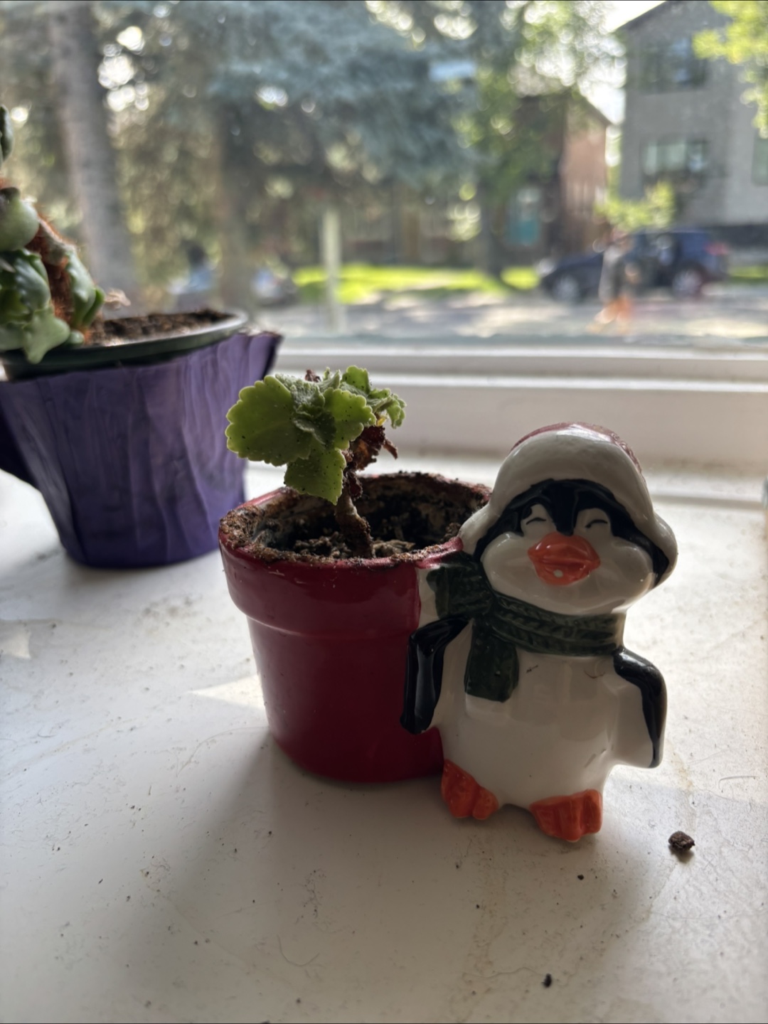 Potted Plant with Penguin Figurine