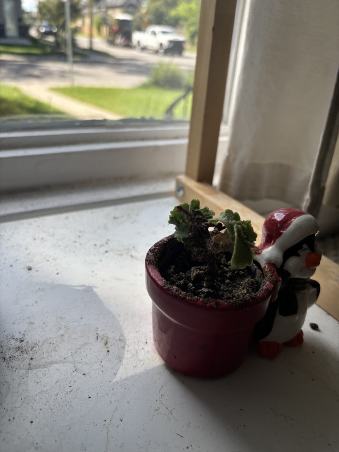 Potted Plant with Penguin Figurine - photo 3