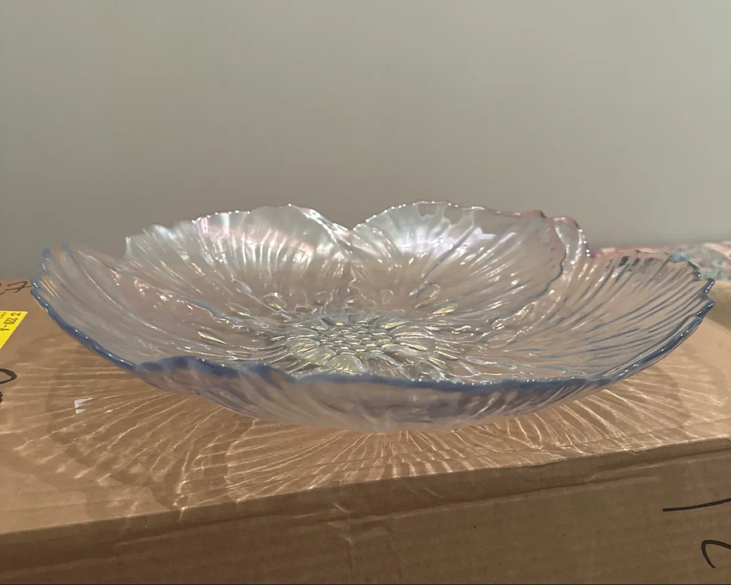 Glass bowl - Dish image indicator(2)