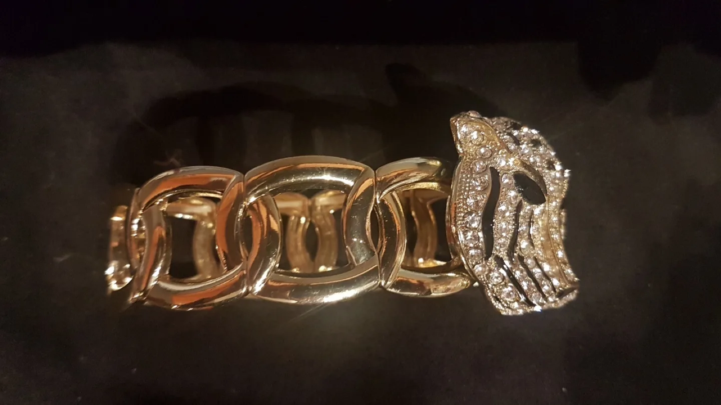 Big Cats Fashion Bracelet image indicator(5)