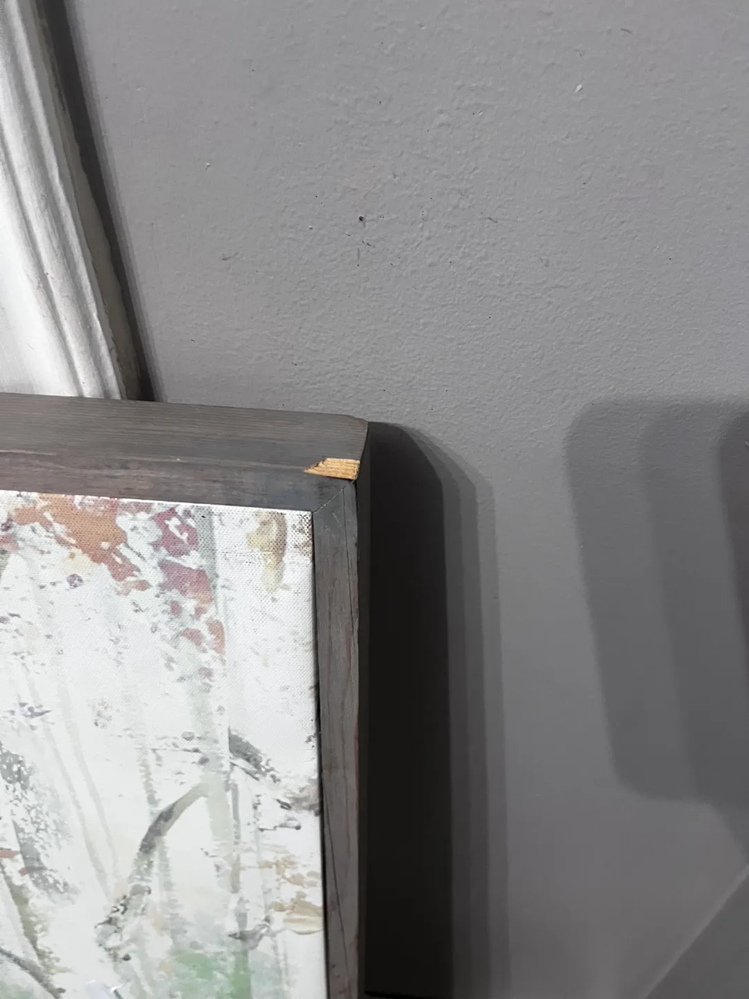 Framed Birch Tree Wall Art image indicator(4)