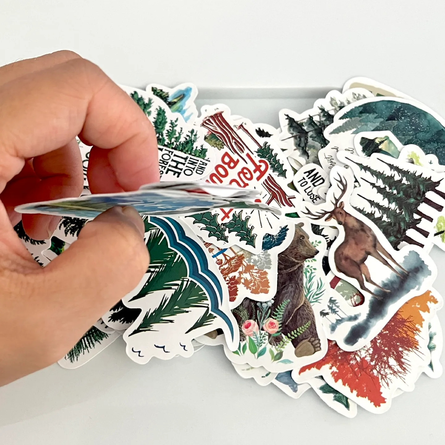 ✨FREE✨ Stickers Forest 50 pcs - Read description 🧡 image indicator(2)