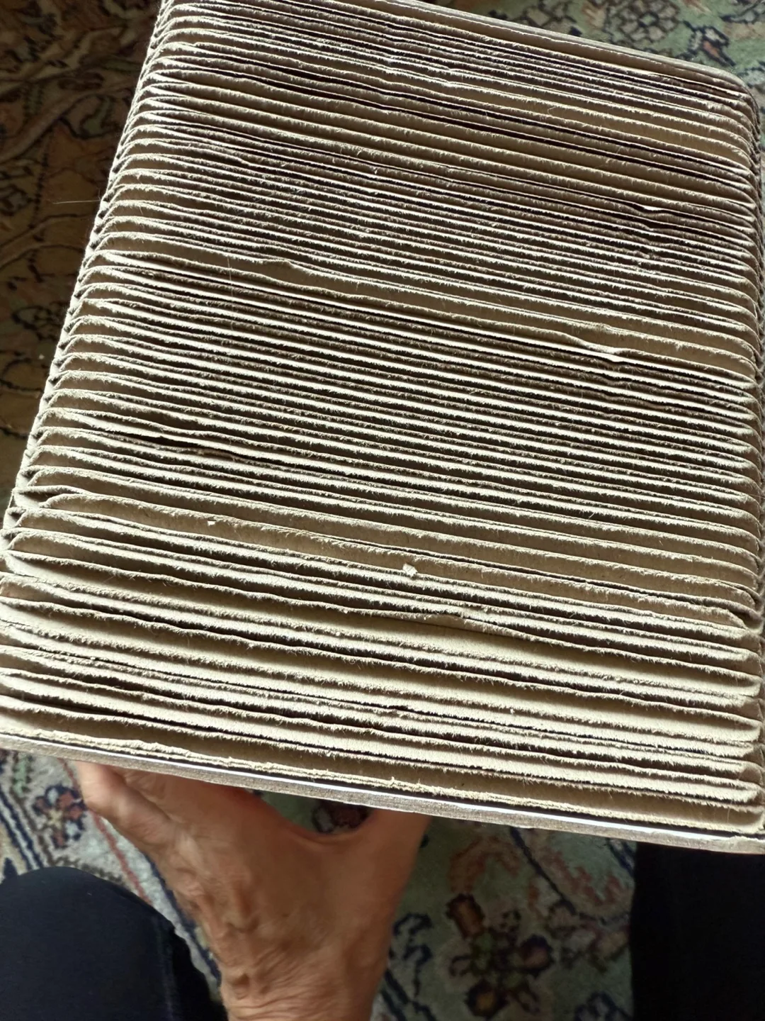 Cat scratching box image indicator(4)