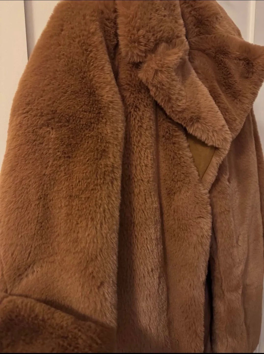 Fur Teddy Coat - image indicator(3)